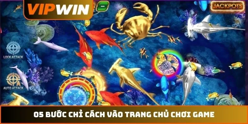 Bắn cá VIPWIN 5 05 bước chỉ cách vào trang chủ chơi game