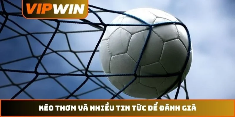 Thể thao VIPWIN 5 Kèo thơm và nhiều tin tức để đánh giá