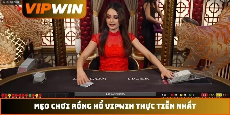 Mẹo chơi Rồng Hổ VIPWIN thực tiễn nhất