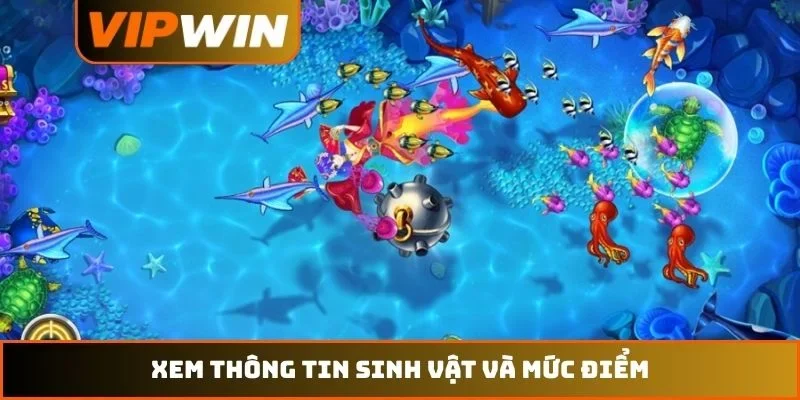 Bắn cá VIPWIN 4 Xem thông tin sinh vật và mức điểm